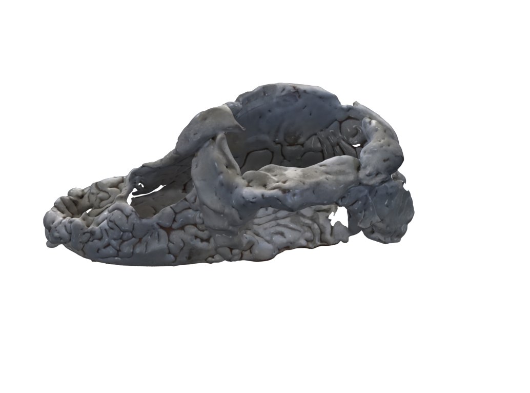 SH-21, three-dimensional work by Spencer Lewis