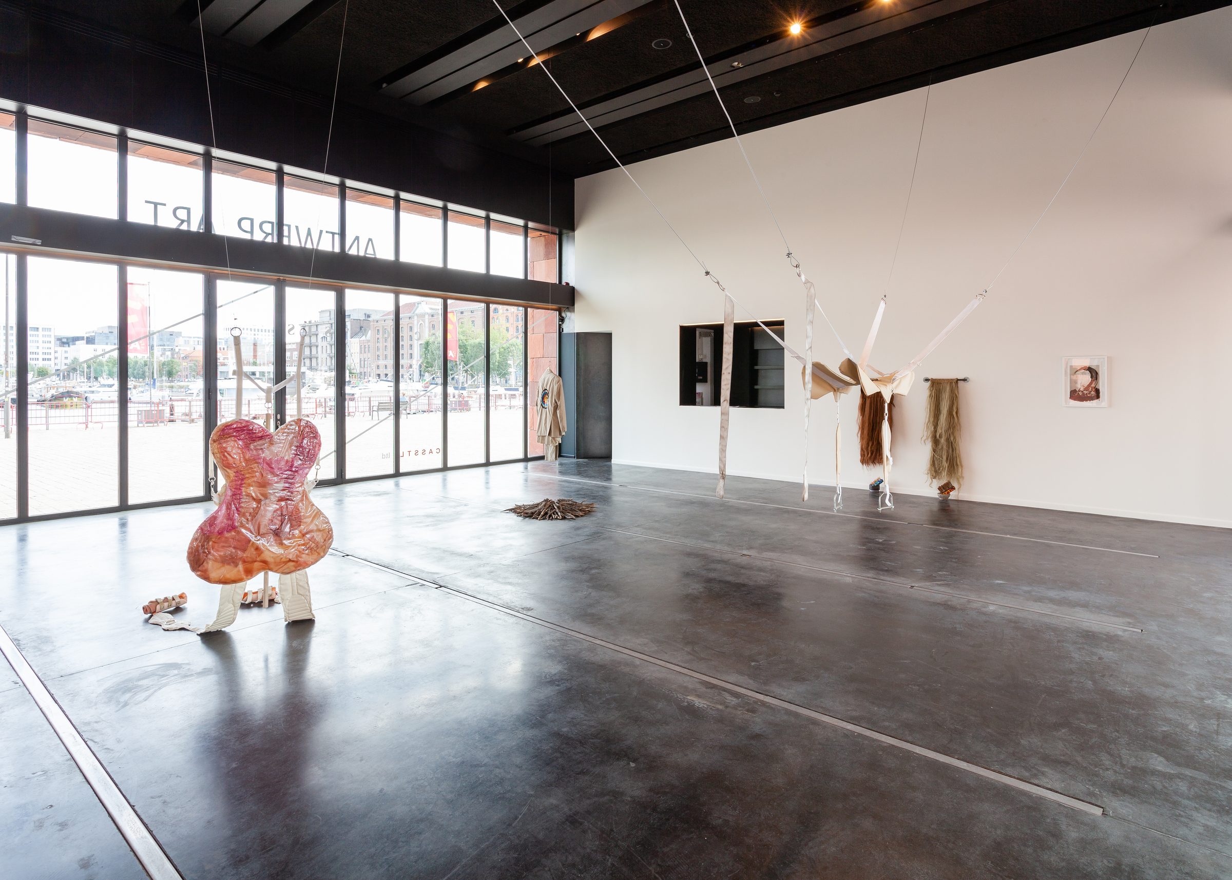 Installation view of Ecdysis, MAS, Museum aan de Stroom, Antwerp, 2019