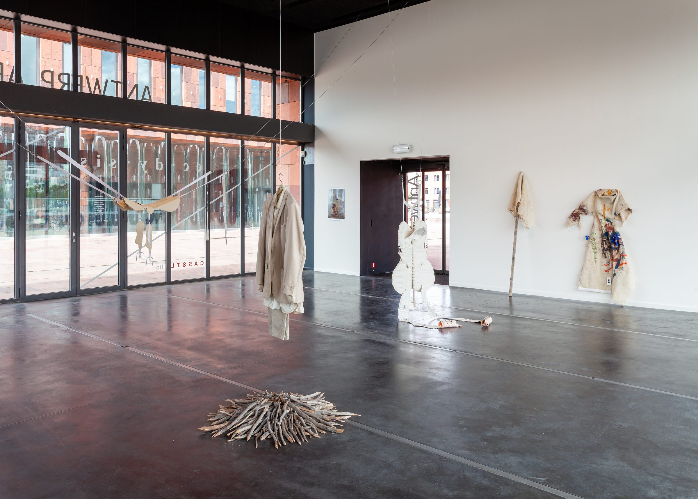 Installation view of Ecdysis, 2019