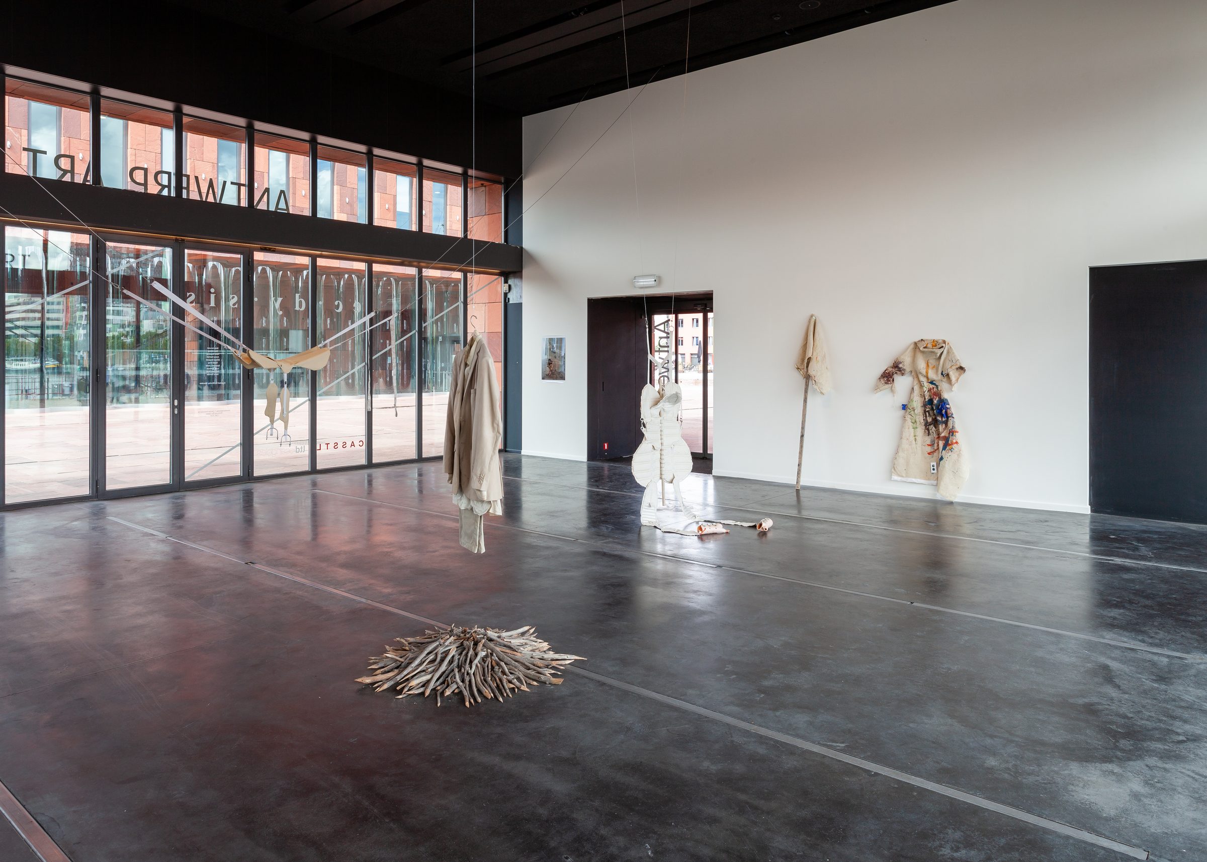 Installation view of Ecdysis, 2019