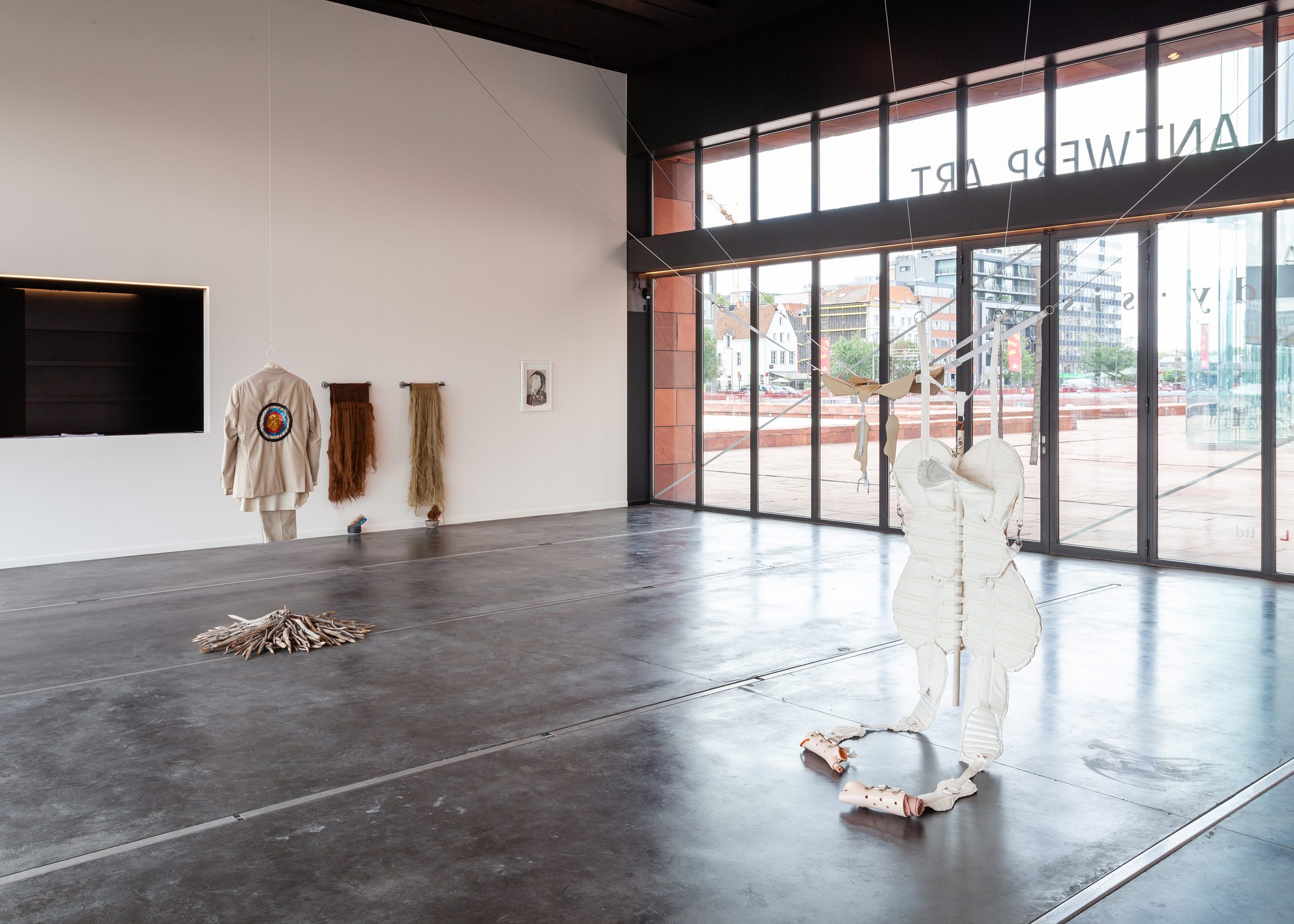 Installation view of Ecdysis, 2019