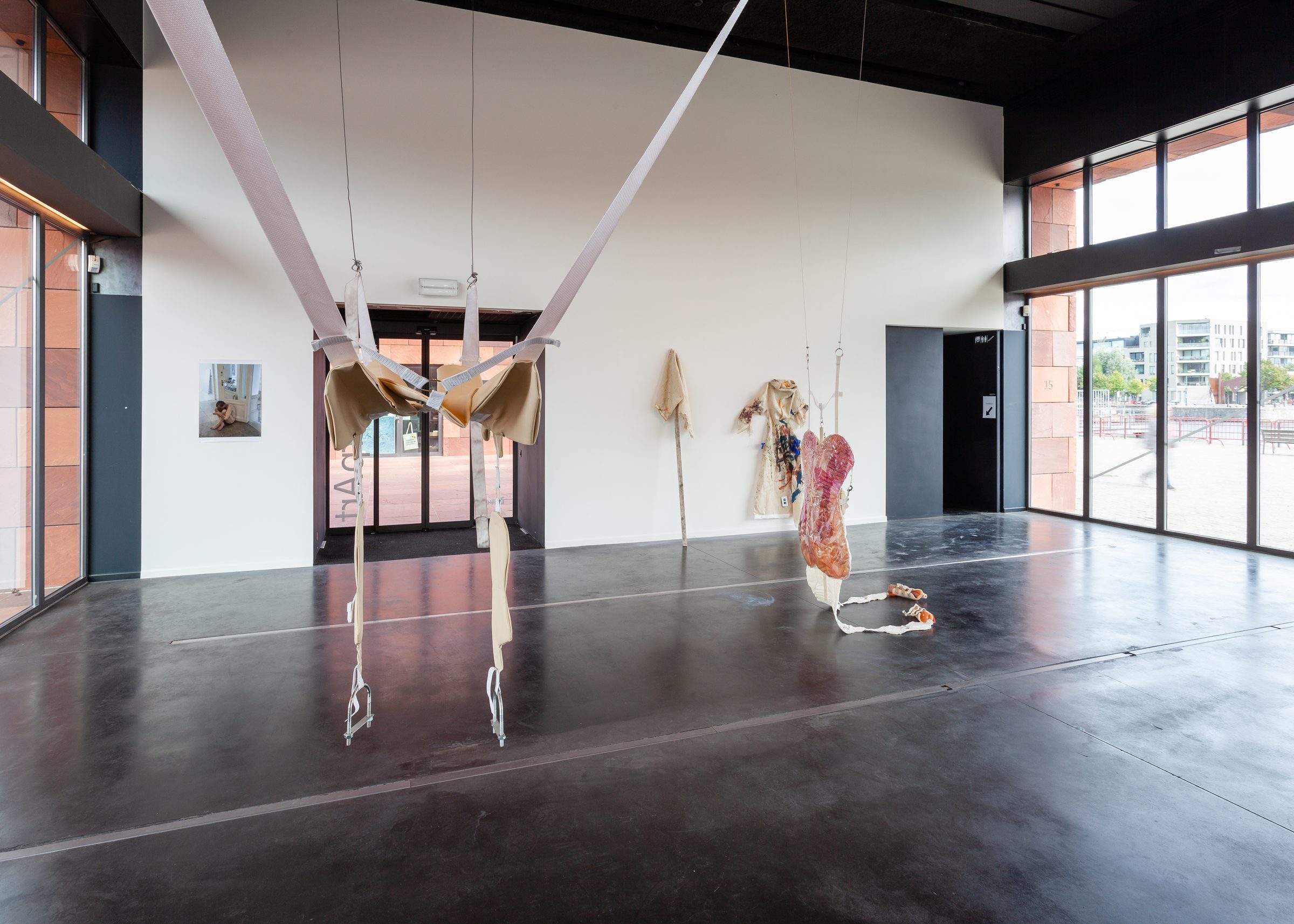 Installation view of Ecdysis, 2019