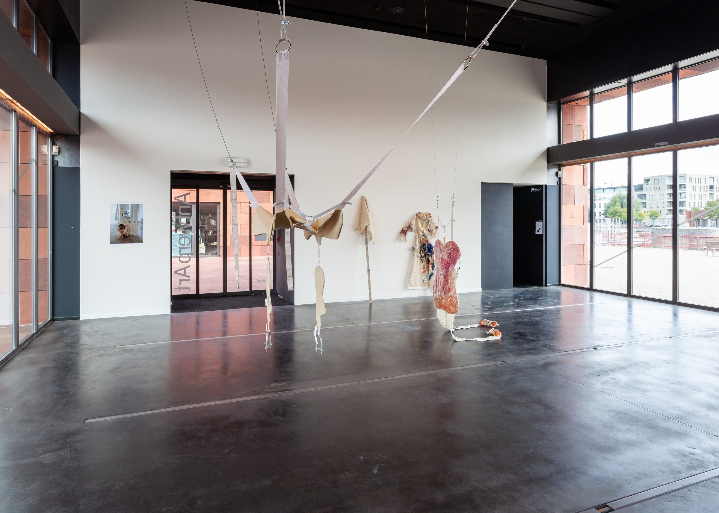 Installation view of Ecdysis, 2019