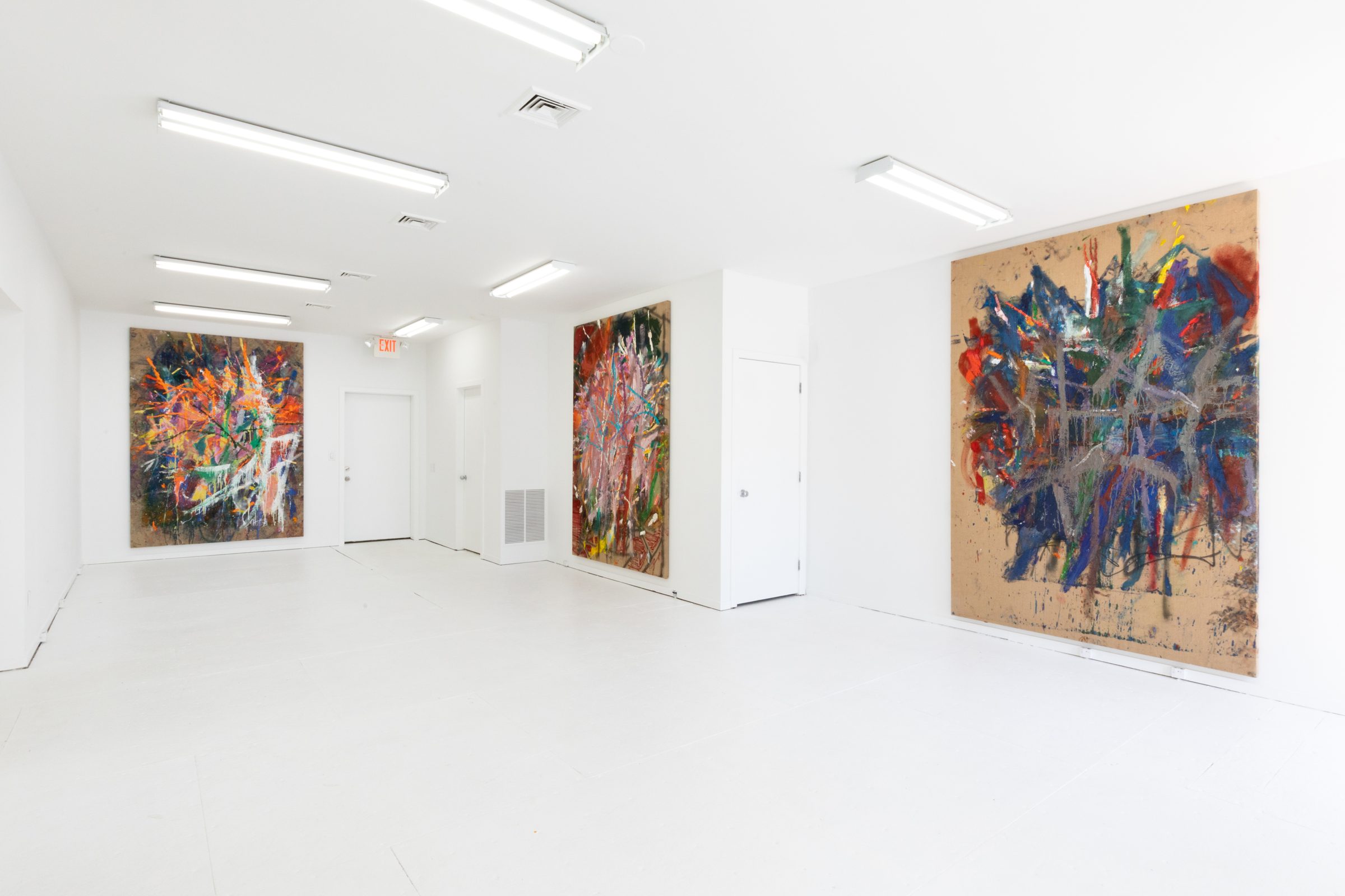 Installation view of Literacy Devolves into Violence, 2020