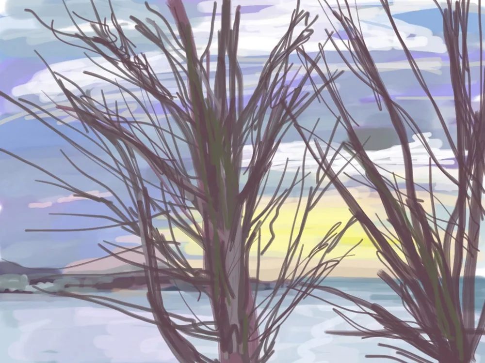 Spencer Lewis, Branford Drawing 36, 2012-13