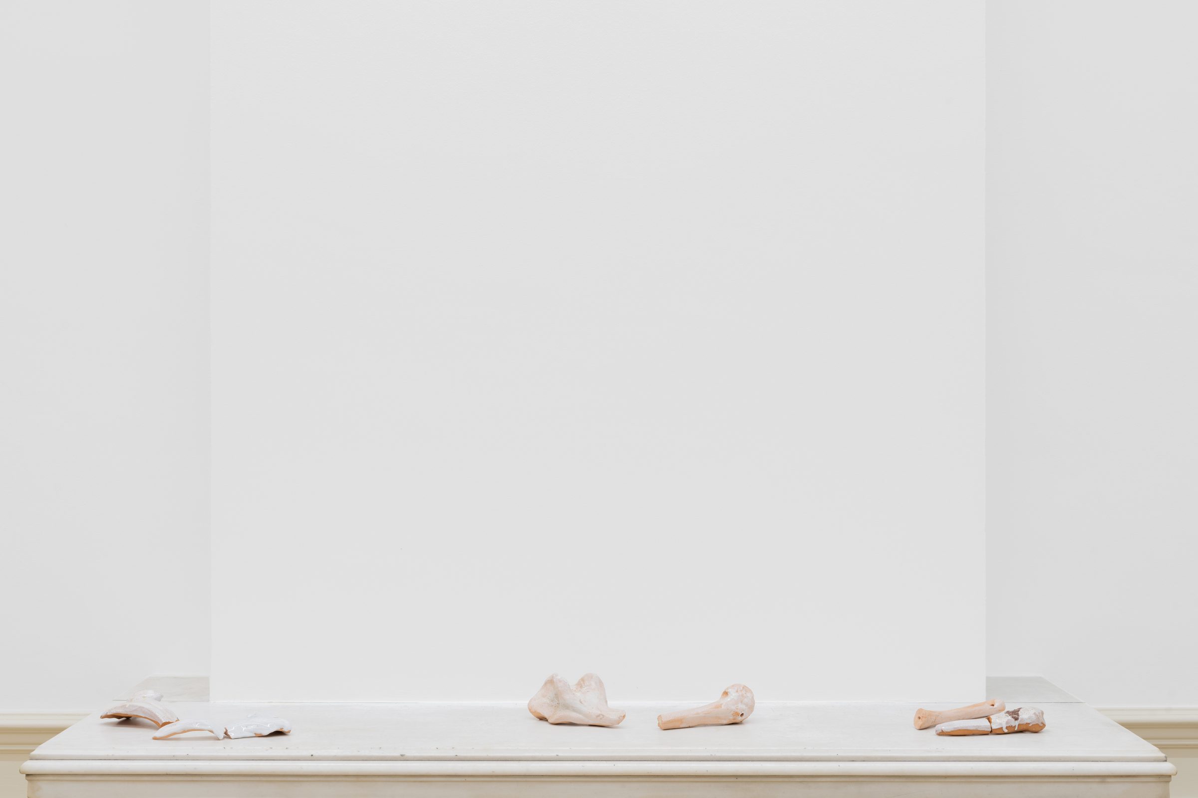 Installation view of Turnip (two kinds of violence), 2021