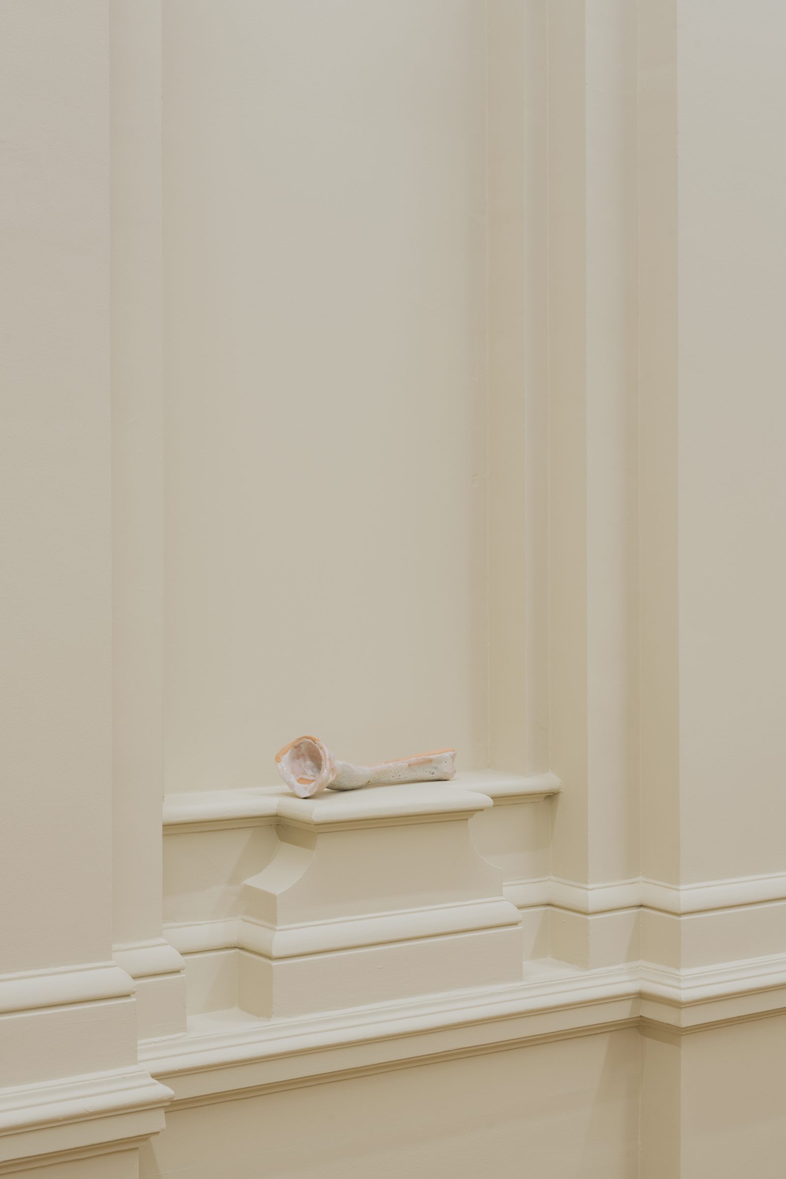 Installation view of Turnip (two kinds of violence), 2021