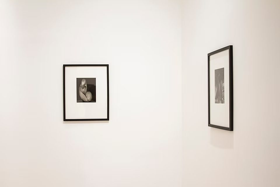 Installation view of Vision Valley, 2018