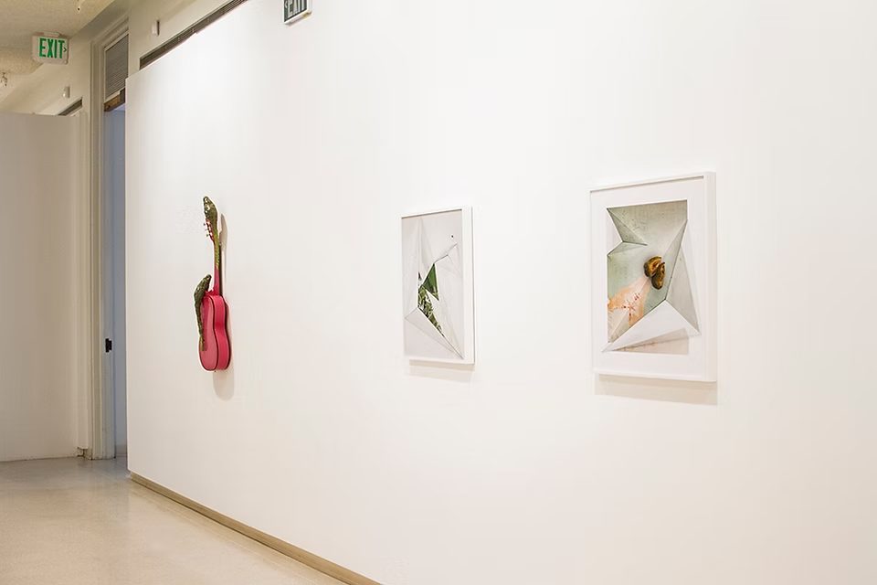 Installation view of Vision Valley, 2018