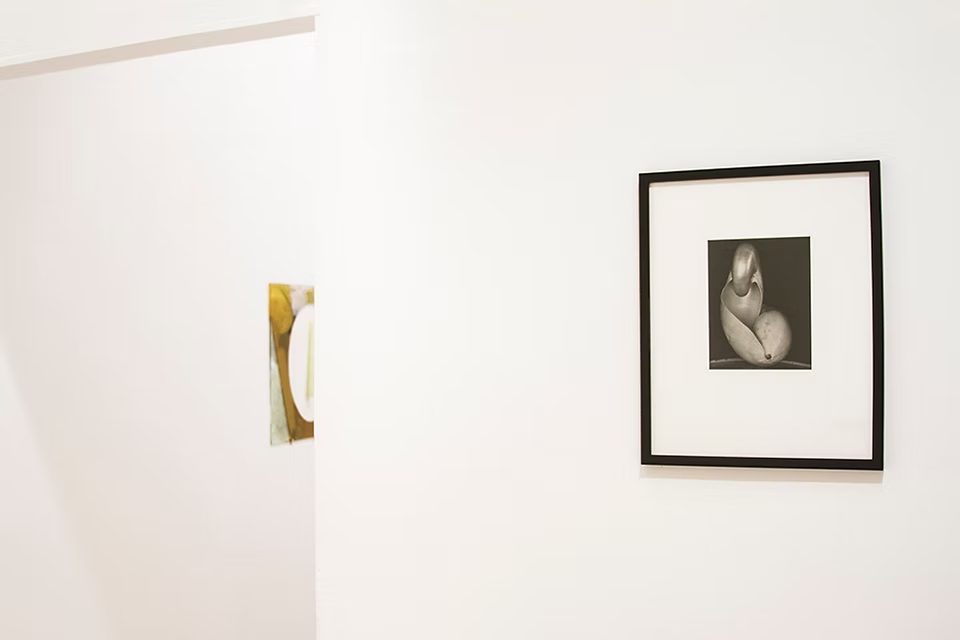 Installation view of Vision Valley, 2018